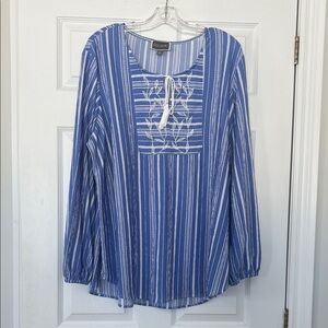 Guillaume Blue Striped Blouse with Embroidery